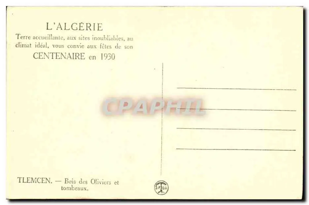 Tlemcen — Olifantbos en grafen — SPBA - Achterkant