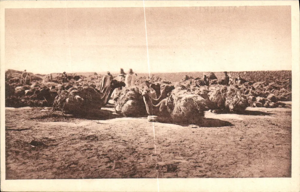 Bauvorort Alfa südlich von Crampel — Algerien — Centenaire 1930 - Vorderseite