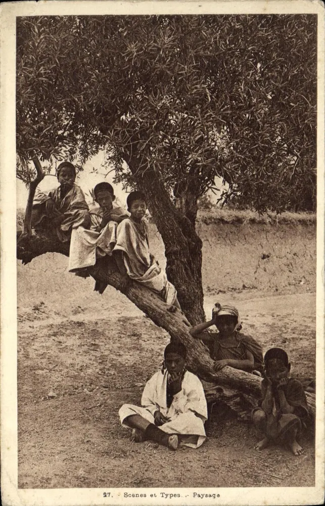 बच्चे एक जैतून के पेड़ के नीचे — दृश्य और प्रकार — भूमि — संख्या 27 — आदर्श संग्रह, अल्जीर - आगे