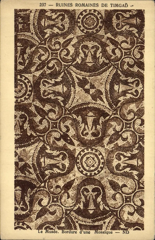 Römische Ruinen von Timgad — Mosaik des Museums — n°237 - Vorderseite