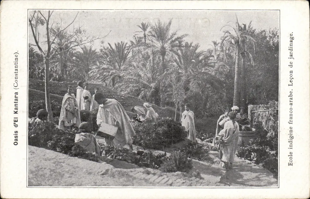Oase El Kantara (Constantine) — Einheimische arabische Schule. Gartengartenunterricht. Französisch-arabische Schule. - Vorderseite