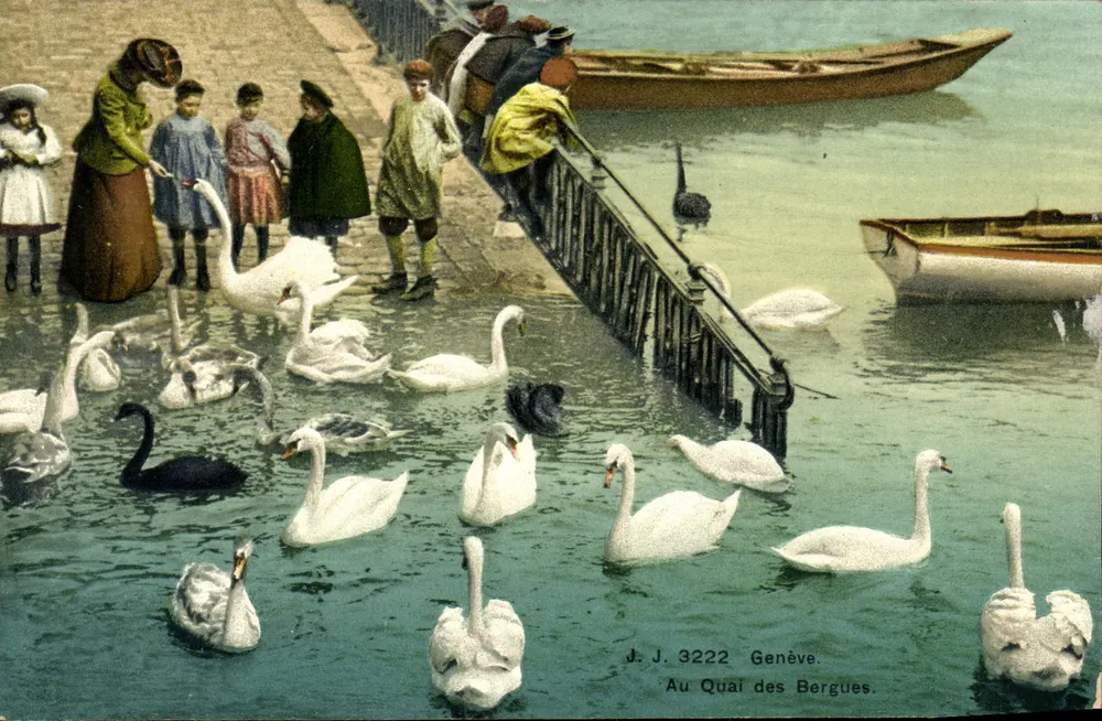 Am Quai des Bergues — Genf — J. J. 3222 - Vorderseite