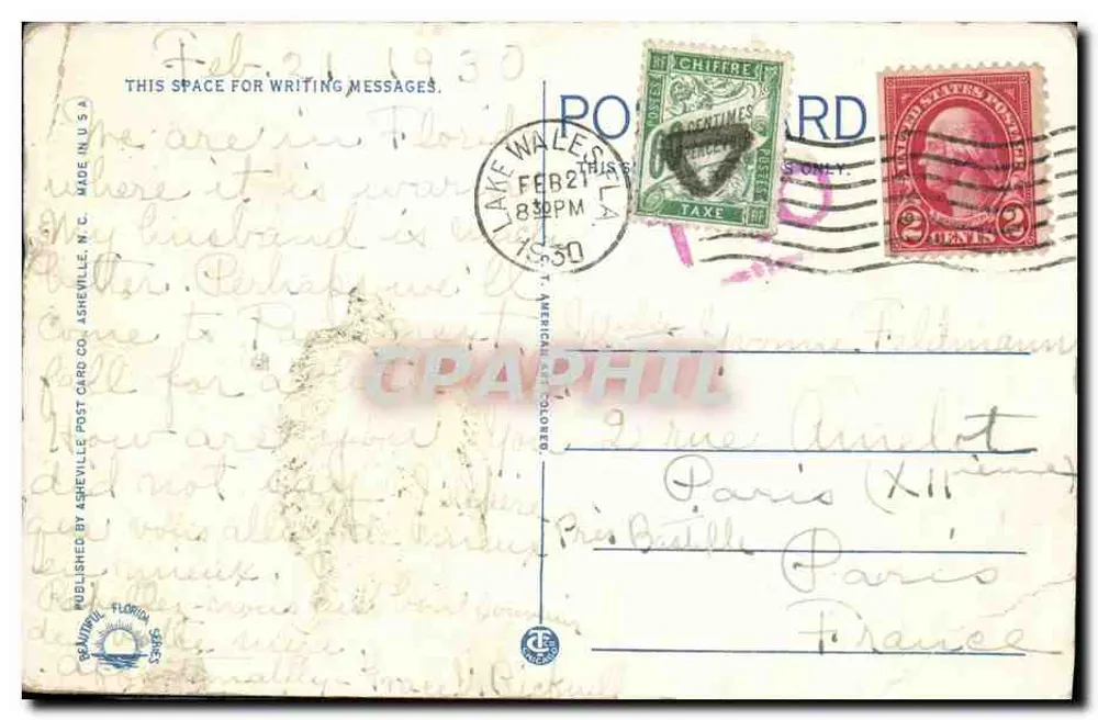 Crocodilo — Um Crocodilo que Mata Homens na Flórida — Publicado pela Asheville Post Card Co. - Verso