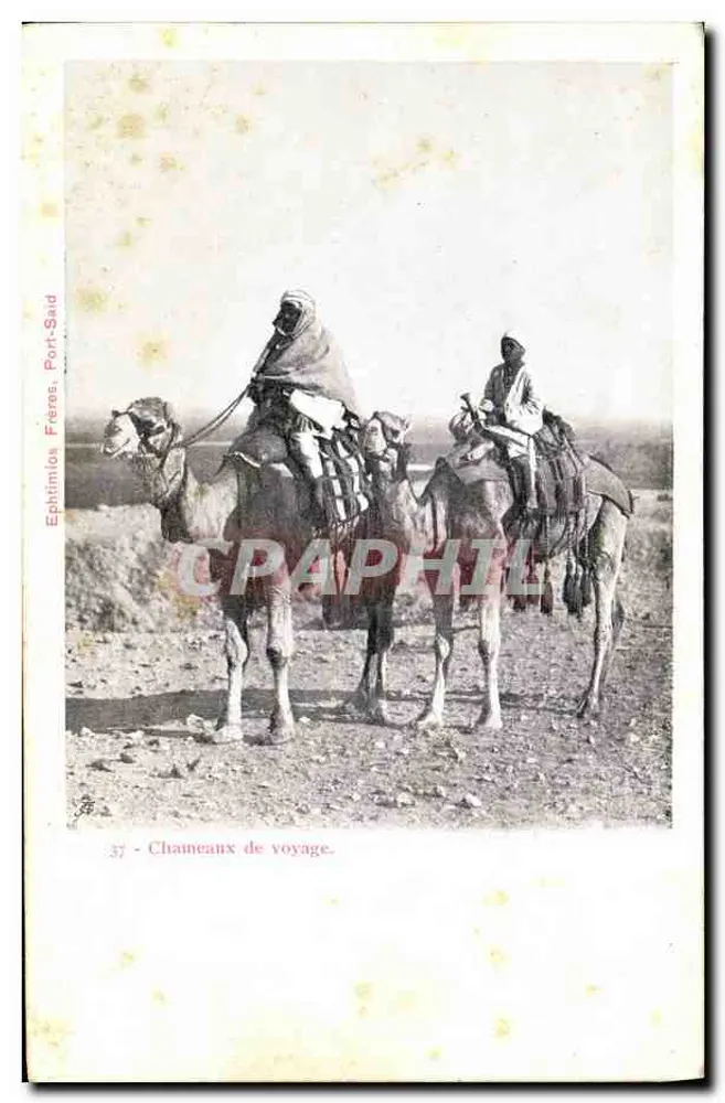 Camelli da viaggio — Ephthimilos, Port-Said — n°37 - Recto