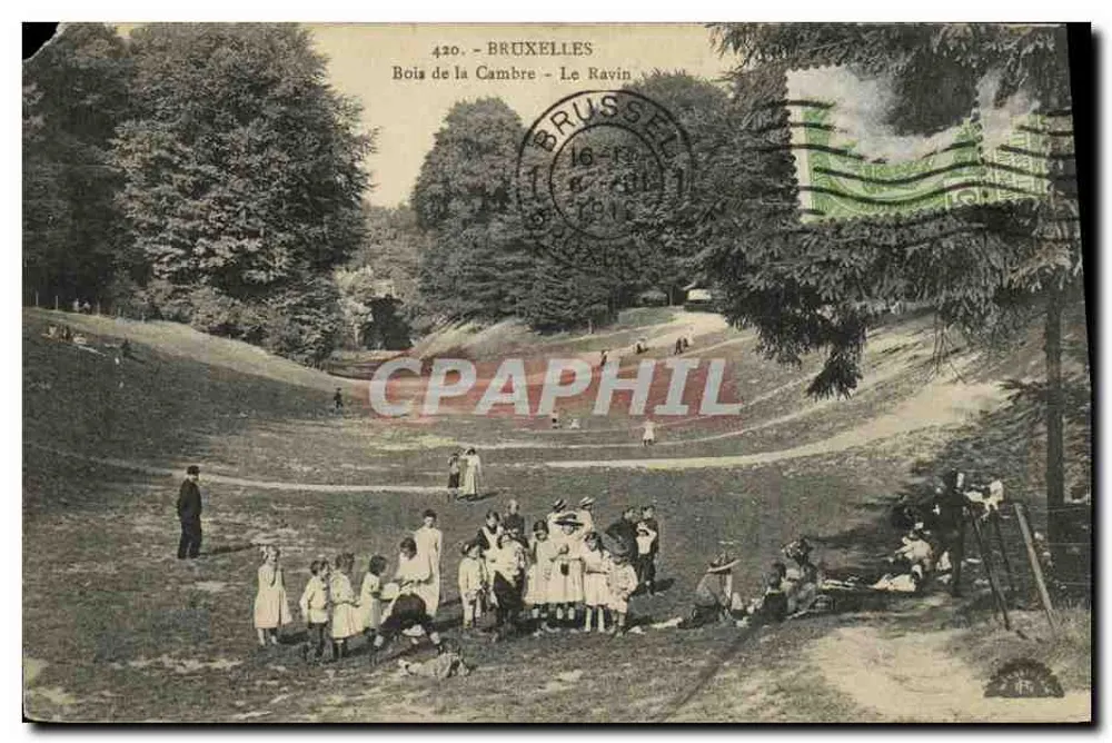 Bois de la Cambre - Der Ravin — Brüssel, Verlag Brüssel, Nr. 420 - Vorderseite