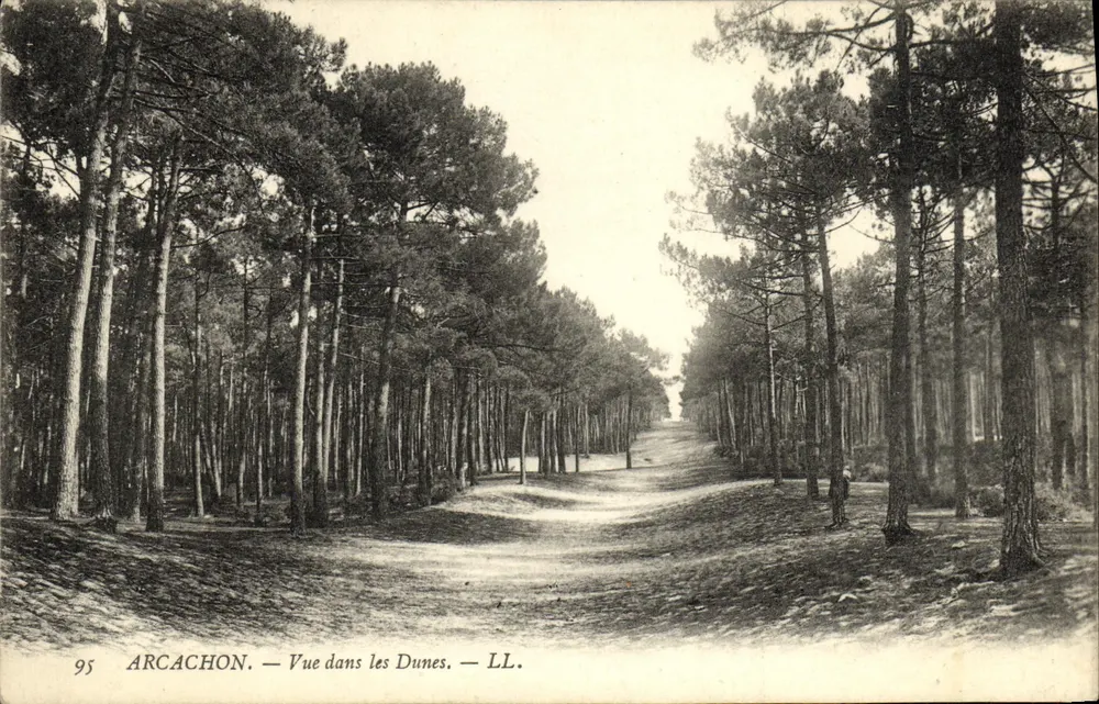 Arcachon — Vista nas Dunas — LL. n° 95 - Frente