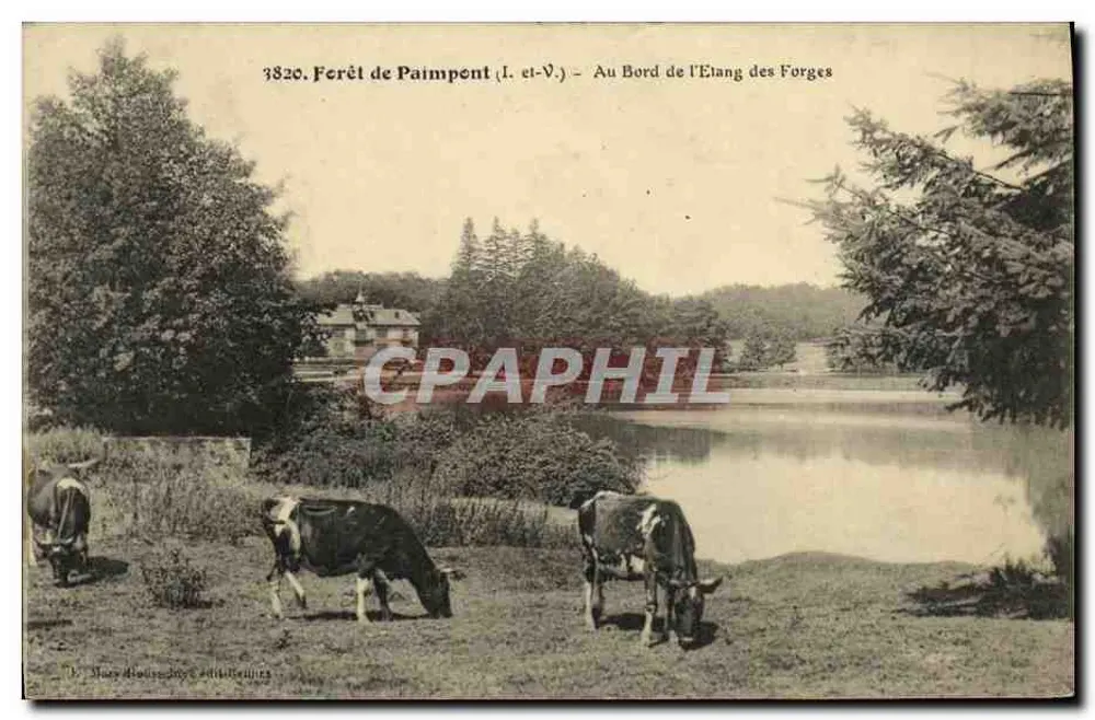 Ferêt de Paimpont (I.-et-V.) — Am Rande des Étang des Forges — Verlag: M. Mory & Cie, Paris - Vorderseite