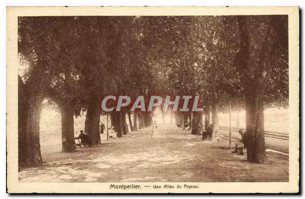 Montpellier — Uma Avenida do Peyrou - Frente