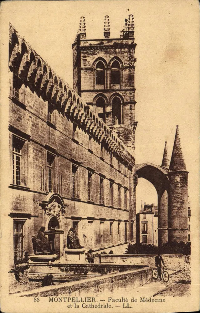 Montpellier — Fakultät für Medizin und die Kathedrale — LL. - Vorderseite