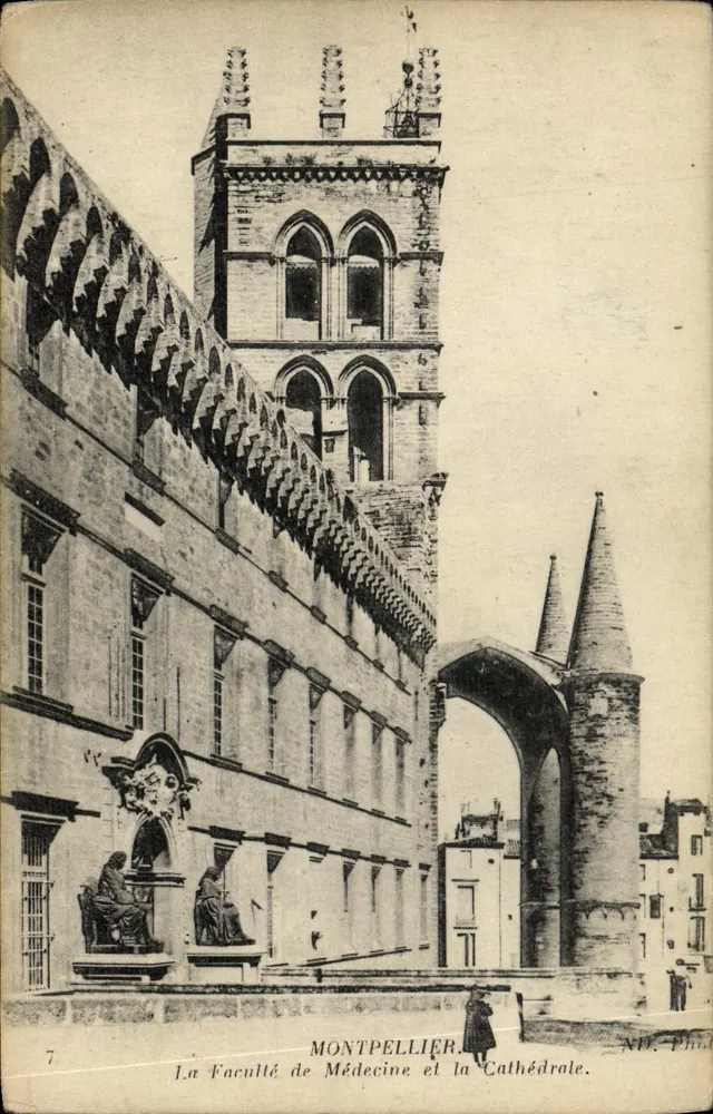 Montpellier — Die Medizinische Fakultät und die Kathedrale — ND. Photo - Vorderseite