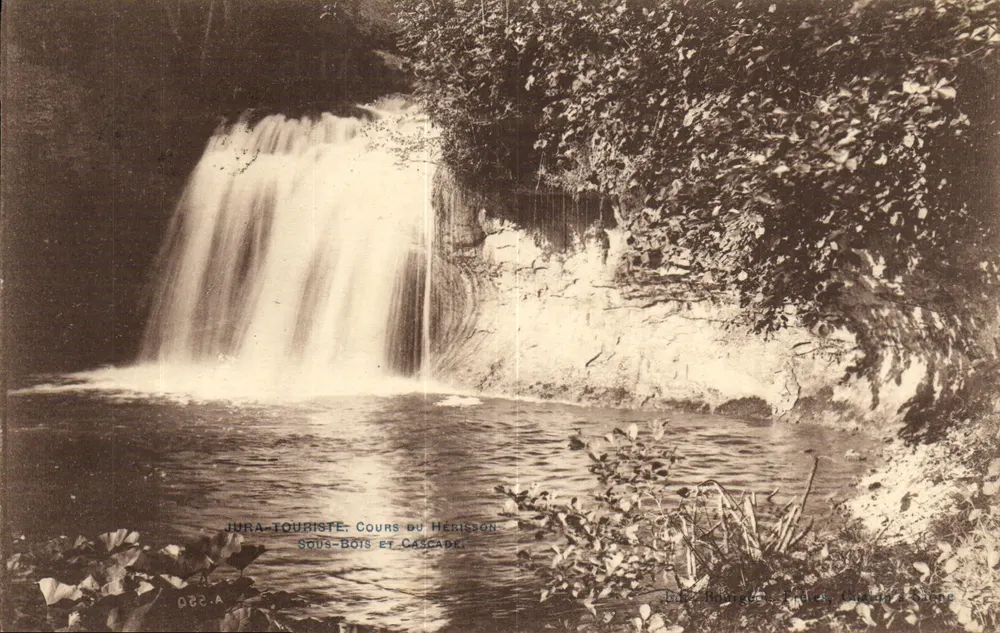 Jura-Touriste, Kurs des Herisson — Unterholz und Wasserfall — Verlag Bourgeois Frères, Chalon-sur-Saône, n° 022 - Vorderseite