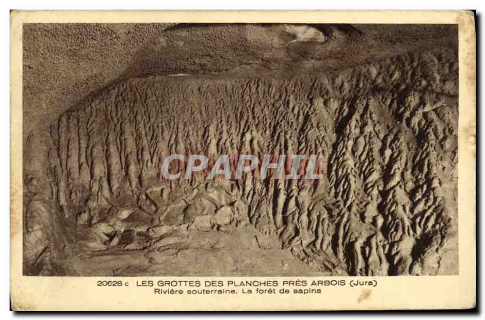 Die Höhlen von Planches bei Arbois (Jura) — Unterirdischer Fluss. Die Tannenwald — Verlag BRAUN & Cie, Druckerei Domach - Vorderseite