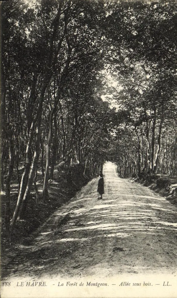 Le Havre — Forêt de Montgeon — Schattenreiche Allee — LL. - Vorderseite