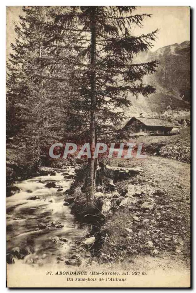 Abondance (Alta Saboia), un sottobosco dell'Aidians — editore Poccalet, Lione - Recto