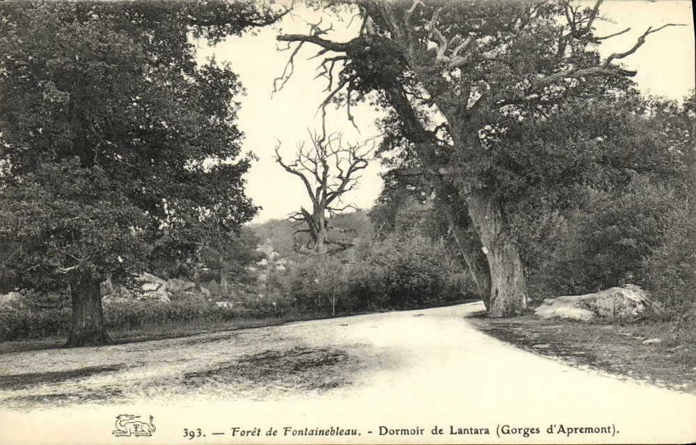 Wald von Fontainebleau — Schlafzimmer von Lantara (Gorges d'Apremont) — n°393 - Vorderseite