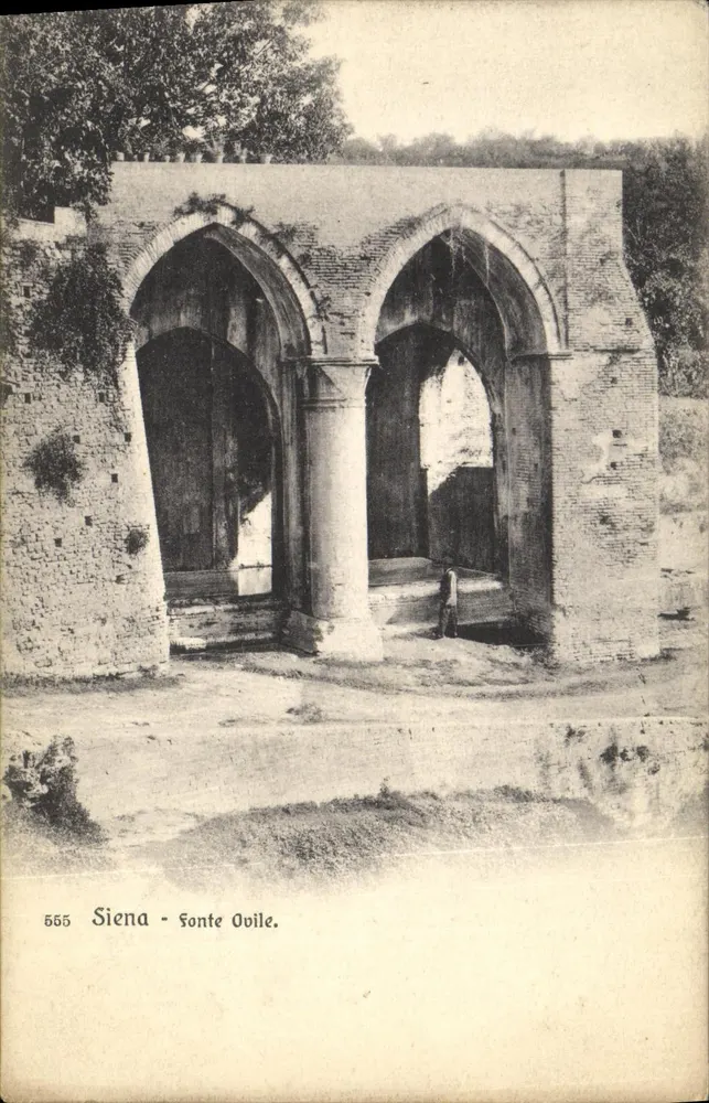 Siena - Fonte Ovile — editor S. Venturini, n° 5655 - Frente