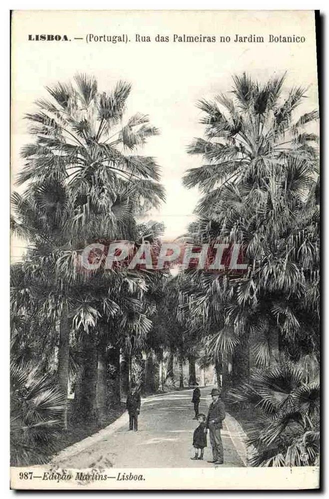 Lissabon — (Portugal). Straße der Palmen im Botanischen Garten — Edition Martins, Nr. 987 - Vorderseite