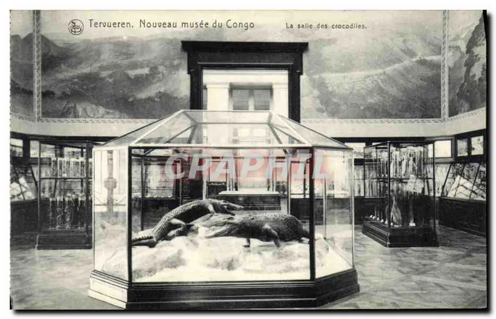 Tervueren, Neues Museum des Kongo — Die Krokodilhalle — Ausgabe NLS - Vorderseite