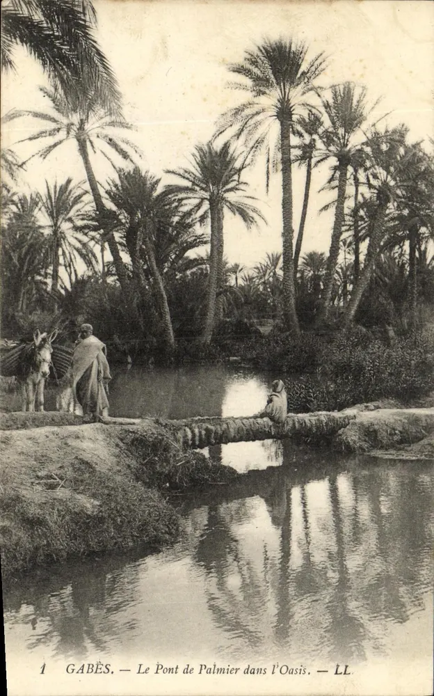 Gabès — Il Ponte dei Palmeti nell’Oasi — LL - Recto