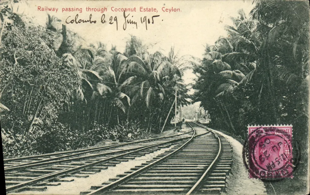 रेलवे कोकोनट एस्टेट से गुजरता है, सियालॉन — कोलंबो, 29 जून 1905 — यूनियन पोस्टल यूनिवर्सल - आगे