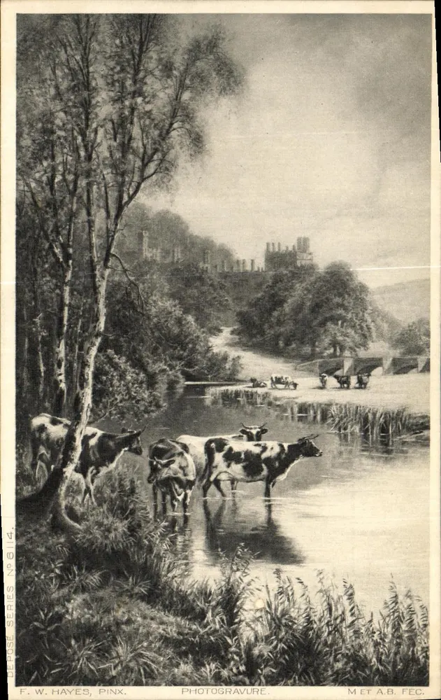 Vacas em um paisagem — castelo no fundo — F. W. Hayes, Pinkx, fotogravura - Frente