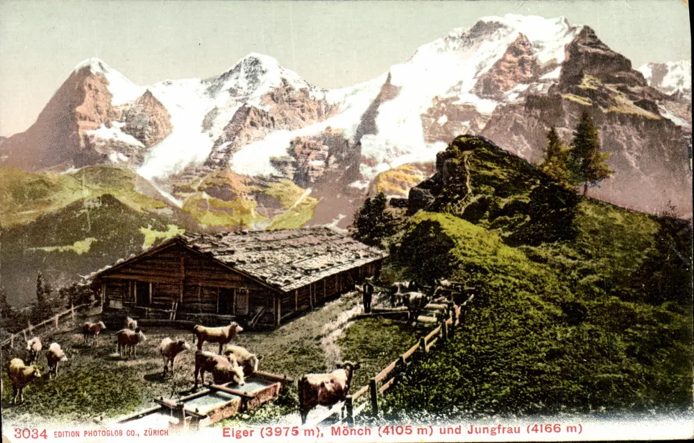 Vistas das montanhas Eiger, Mönch e Jungfrau — Edição Photoglob Co., Zürich, n° 3084 - Frente