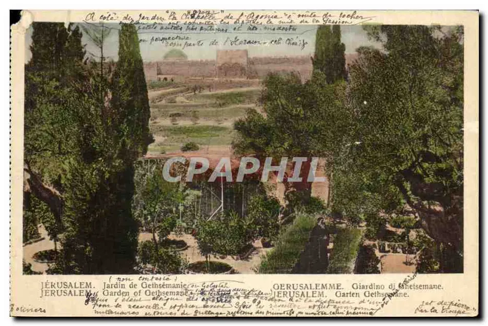 Jérusalem — Jardin de Gethsémané — éditeur A. Attallah frères, Jérusalem - Frente
