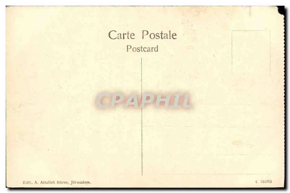 Jérusalem — Jardin de Gethsémané — éditeur A. Attallah frères, Jérusalem - Verso