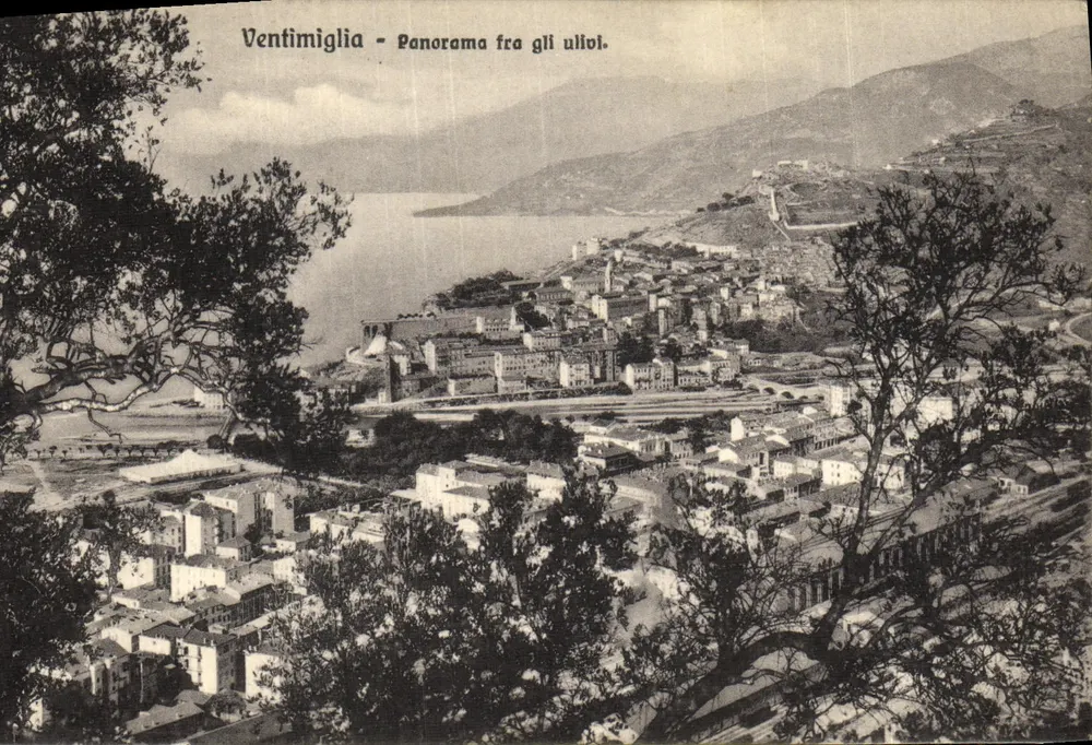 Ventimiglia - Panorama fra gli ulivi. — Verlag G. Galle, Nr. 1687 - Vorderseite