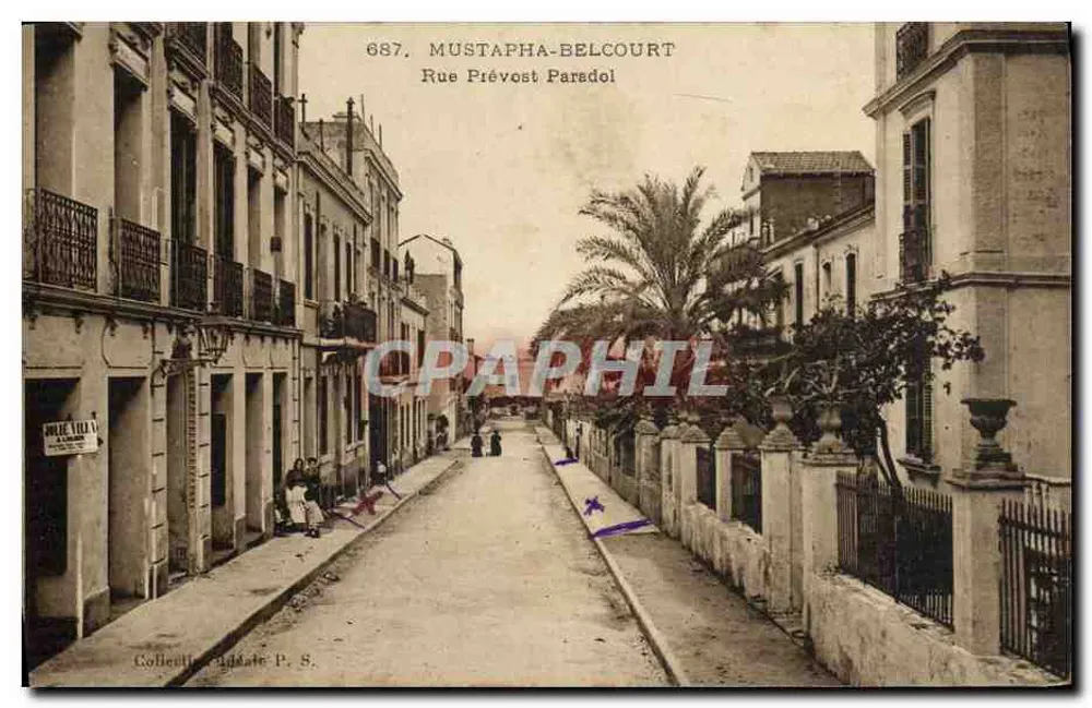 Rue Prévost Paradol — Mustapha-Belcourt — Sammlung P. S. - Vorderseite