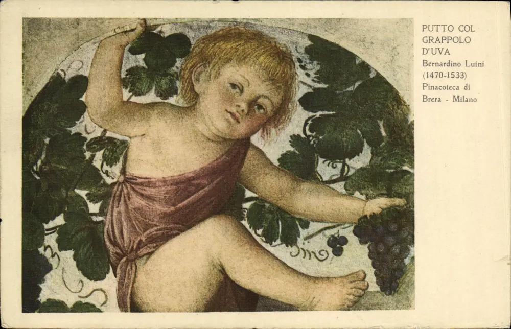 Putto col grappolo d'uva — peinture de Bernardino Luini (1470-1533) — Pinacoteca di Brera, Milano - Vorderseite