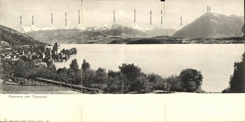 Panorama vom Thunersee — vue panoramique du lac de Thoune avec montagnes enneigées — Phot. Gebr. Wehrli, Kilchberg-Zürich, n° 3245 - Frente