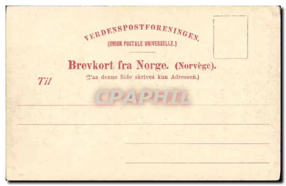 Parti fra Jostedalsbræen — Opstryn — N. K. Nr 741 - Rewers
