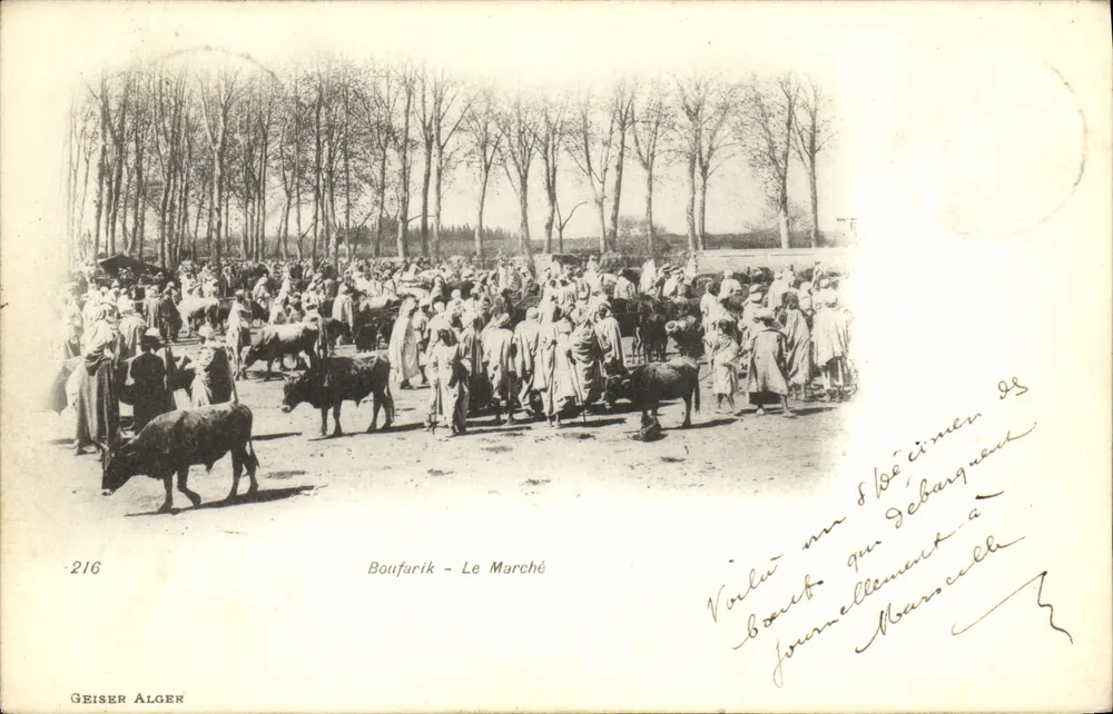 Boufarik - O Mercado — editor Geiser Alger, n° 216 - Frente