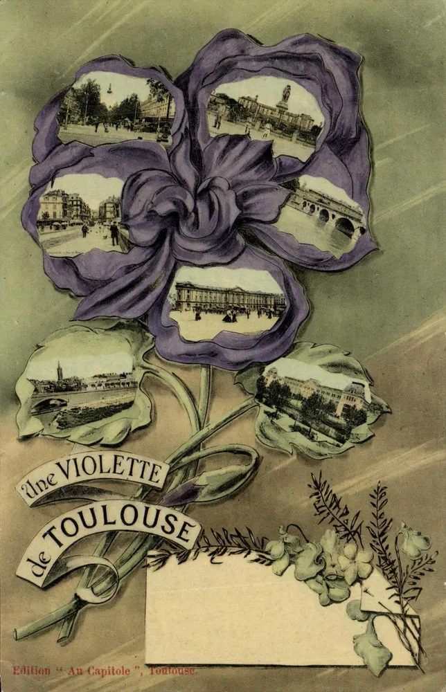 Toulouse — Vista fiorita — Edizione « Au Capitole », Toulouse - Recto