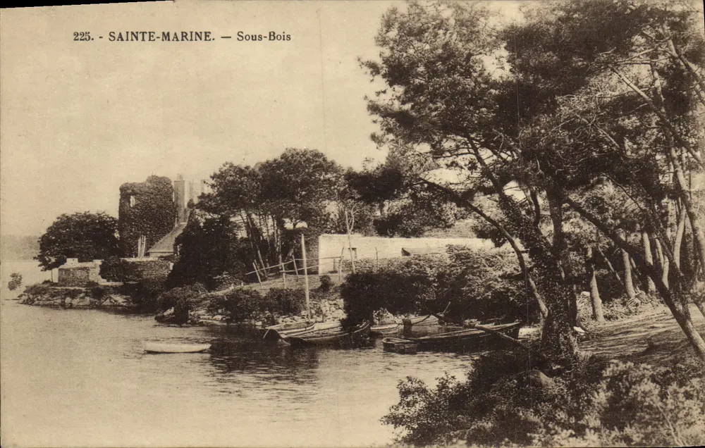 Sainte-Marine — Sous-Bois — Editor desconhecido, n° 225 - Frente
