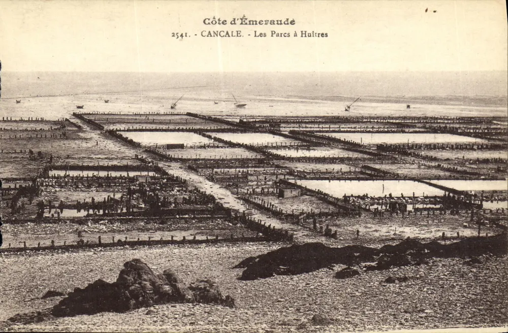 Côte d'Émeraude - Les Parcs à Huîtres à Cancale - Frente