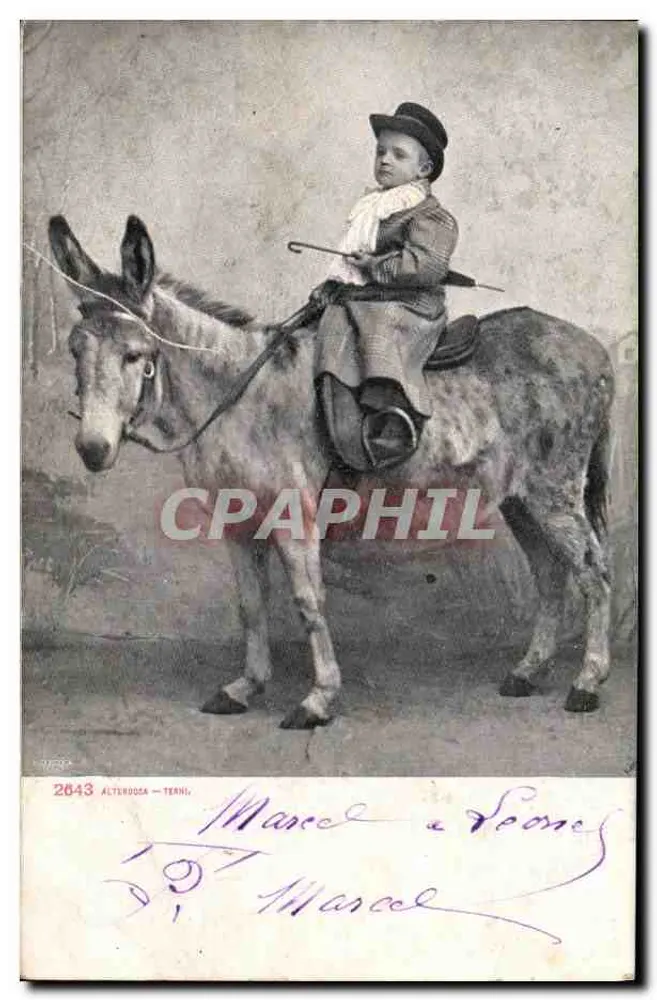 Criança em jumento — Alterroca — Terni — n° 2643 - Frente