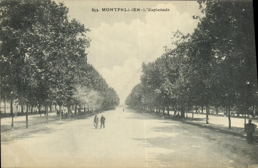 Montpellier - A Esplanada — cartão postal n°853 - Frente