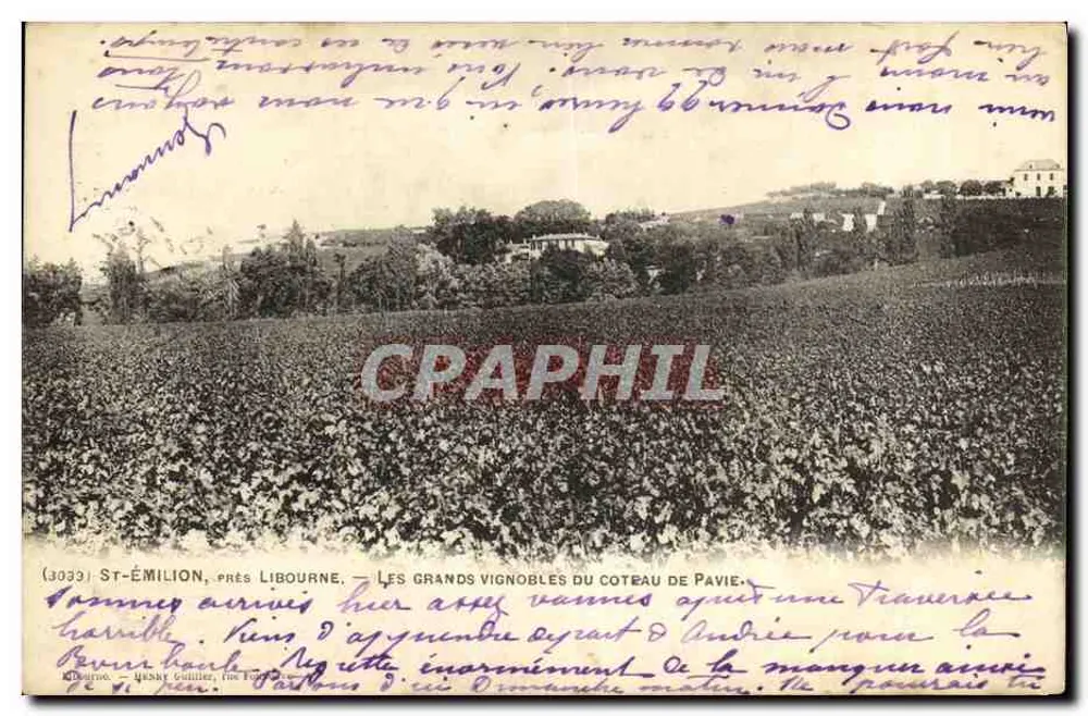 St-Émilion, nahe Libourne — Die großen Weinberge des Hanges von Pavie — G. Gaillet, Nr. 3033 - Vorderseite