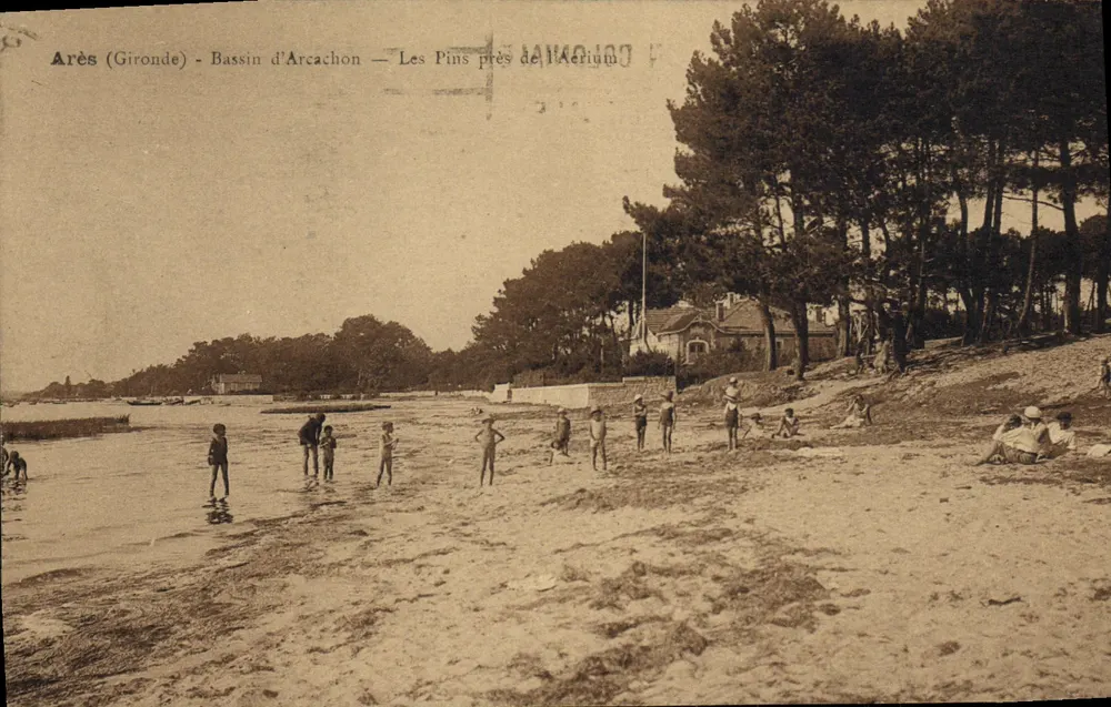 Ares (Gironde) - Bassin d'Arcachon — Les Pins près de l'Aerium - Vorderseite