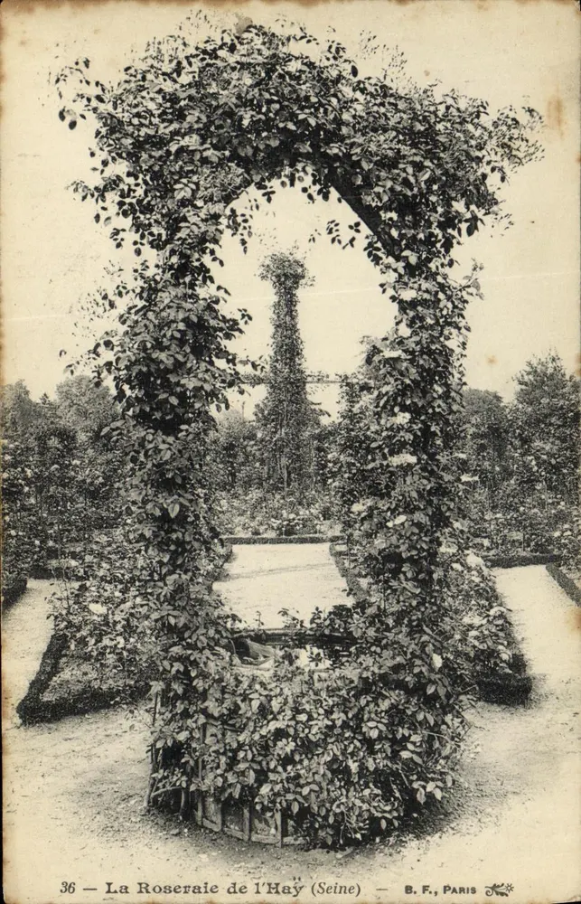 La Roseraie de l'Hay (Seine) — B.F., Paris — n°36 - Frente