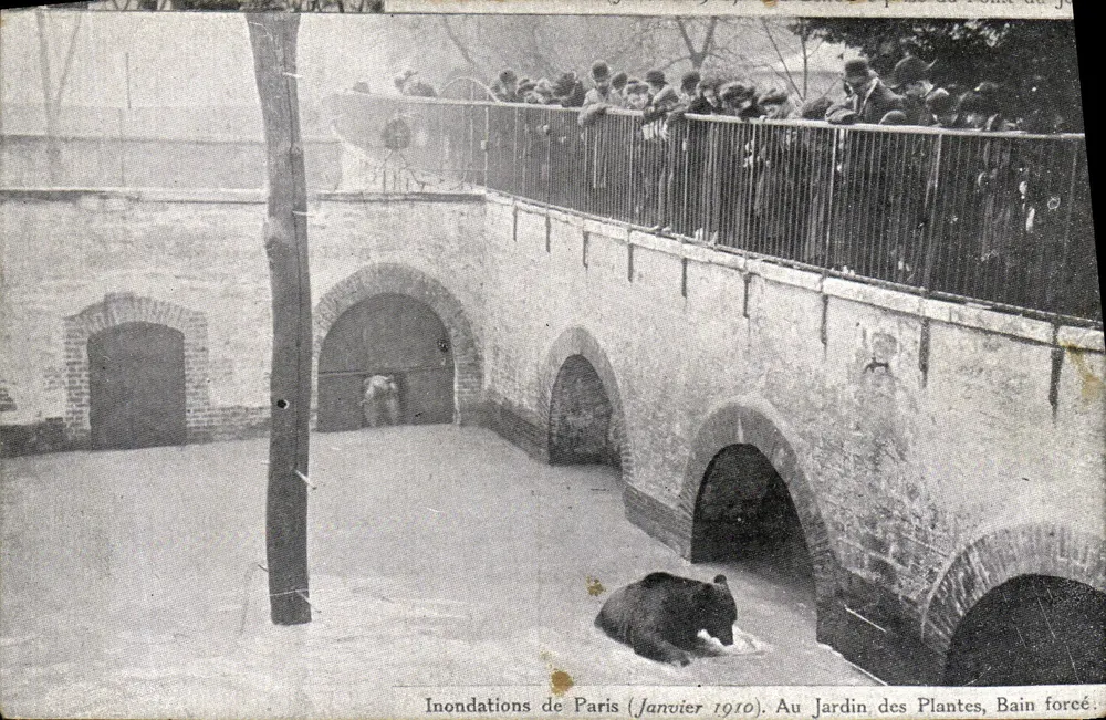 Überschwemmungen in Paris (Januar 1910). Am Jardin des Plantes, gezwungener Badestrand. - Vorderseite