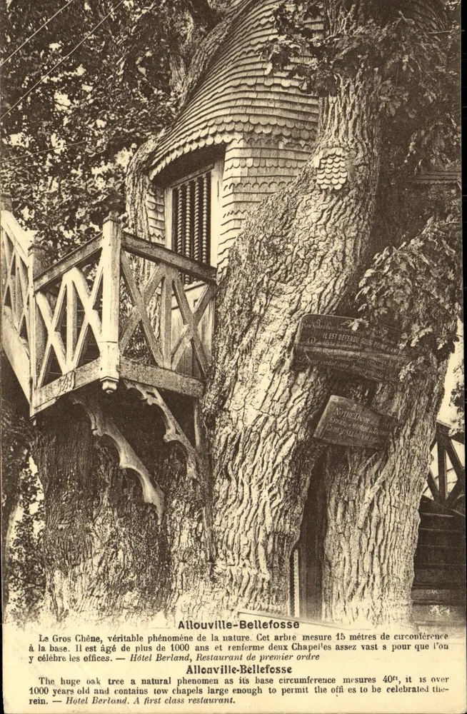 Der große Eichenbaum in Allouville-Bellefosse — Naturphänomen mit integrierten Kapellen — Hôtel Berland, erstklassiges Restaurant - Vorderseite