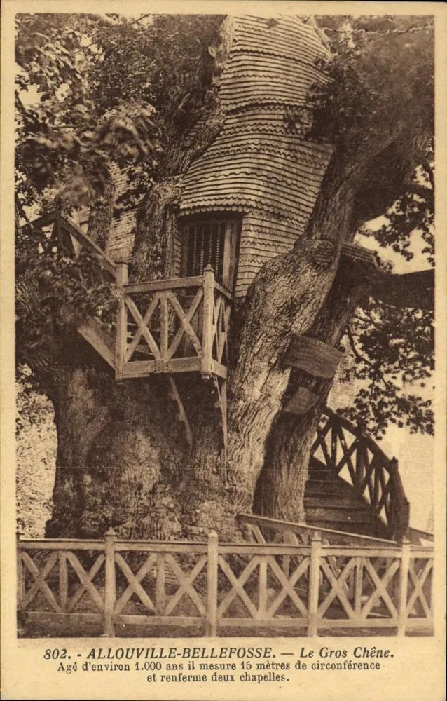 Allouville-Bellefosse — Der Große Eiche — Maison Delamare, Yvetot - Vorderseite