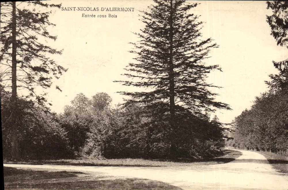 Saint-Nicolas-d'Aliermont — Einfahrt unter Bäumen — 'La Cigogne' Karten, Route aux Ours, Rouen - Vorderseite