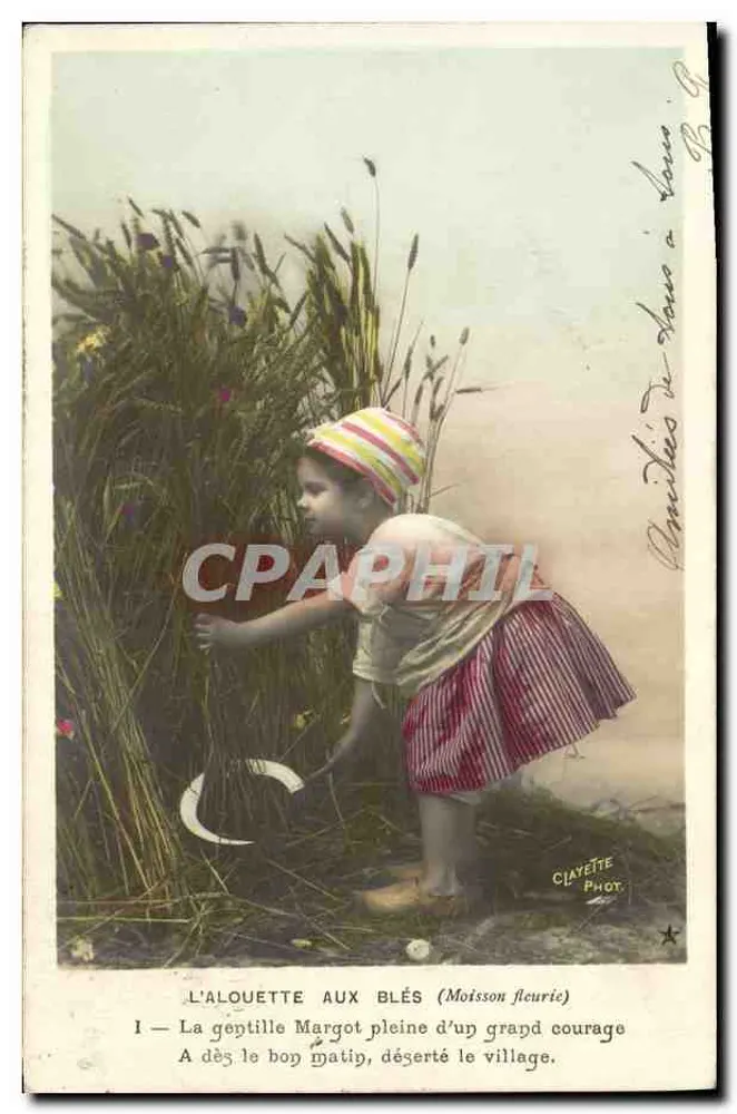 Die Lerche unter dem Getreide (Blühende Ernte) — Die nette Margot voll Mut — Clavette Phot. Serie Nr. 711 - Vorderseite