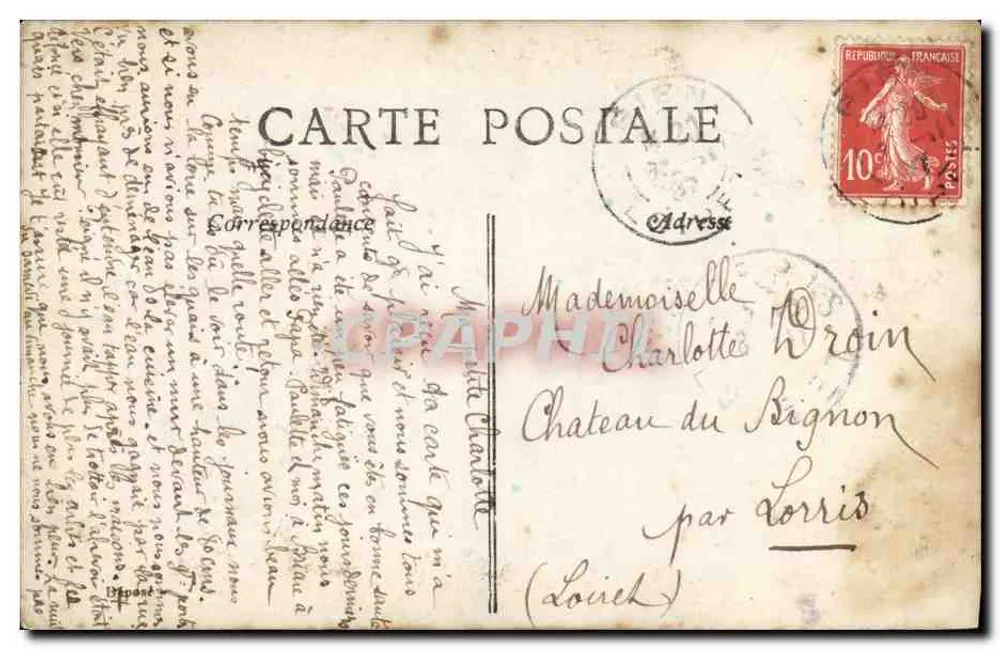 Zikade — Portrait von Miège — Walery Paris - Rückseite