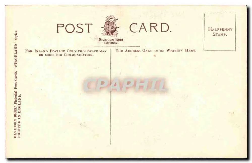 Miss Millie Legarde — Portrait — Photo Biograph Studio - Rückseite