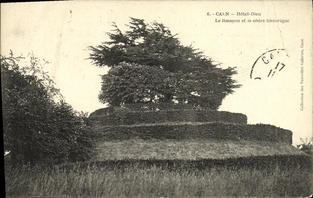 Cahen - Hôtel-Dieu — Der Schnecken- und der historische Zeder — Sammlung der Nouvelles Galeries, Caen - Vorderseite
